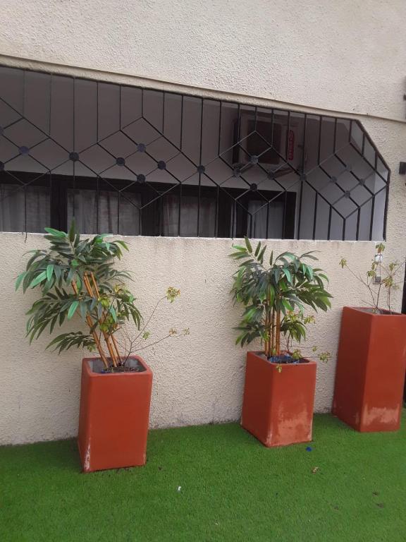 Emmanuella Casa - Resim 20