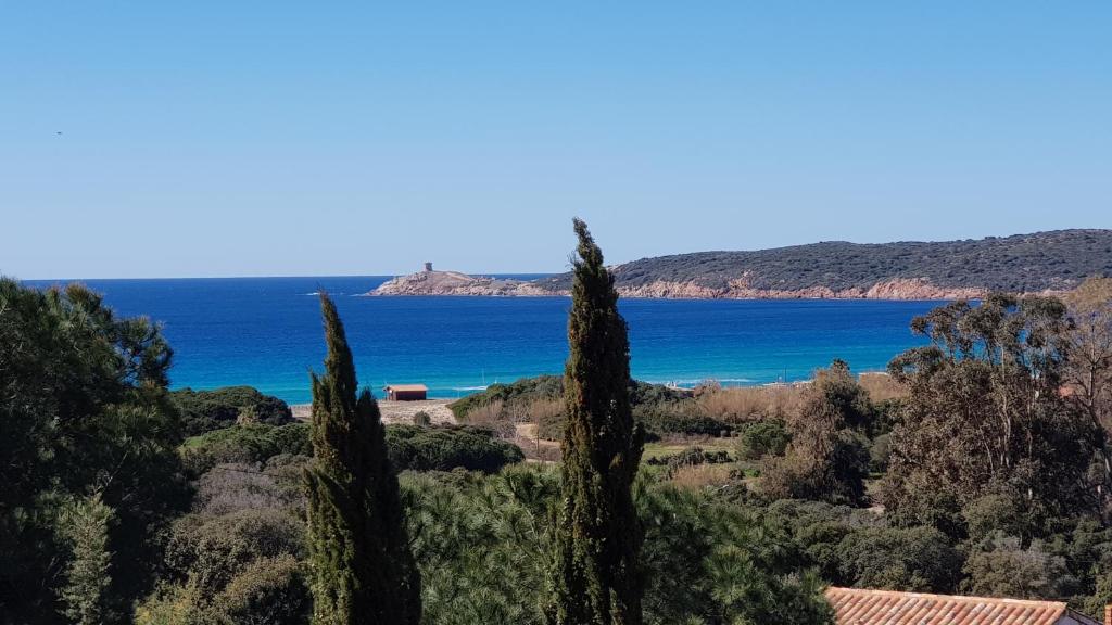 - une vue sur l'océan depuis une colline arborée dans l'établissement Villa Chris t'AL Cargèse, à Cargèse