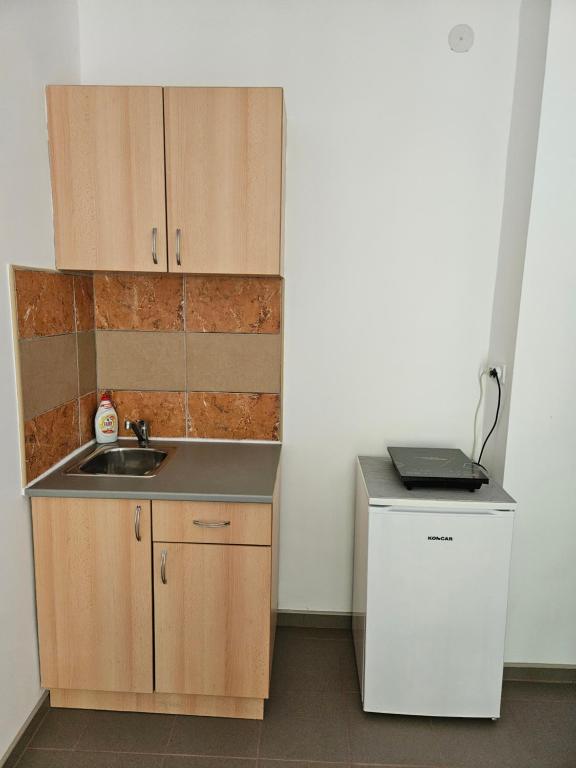 a small kitchen with a sink and a refrigerator at Vila Jenic in Soko Banja