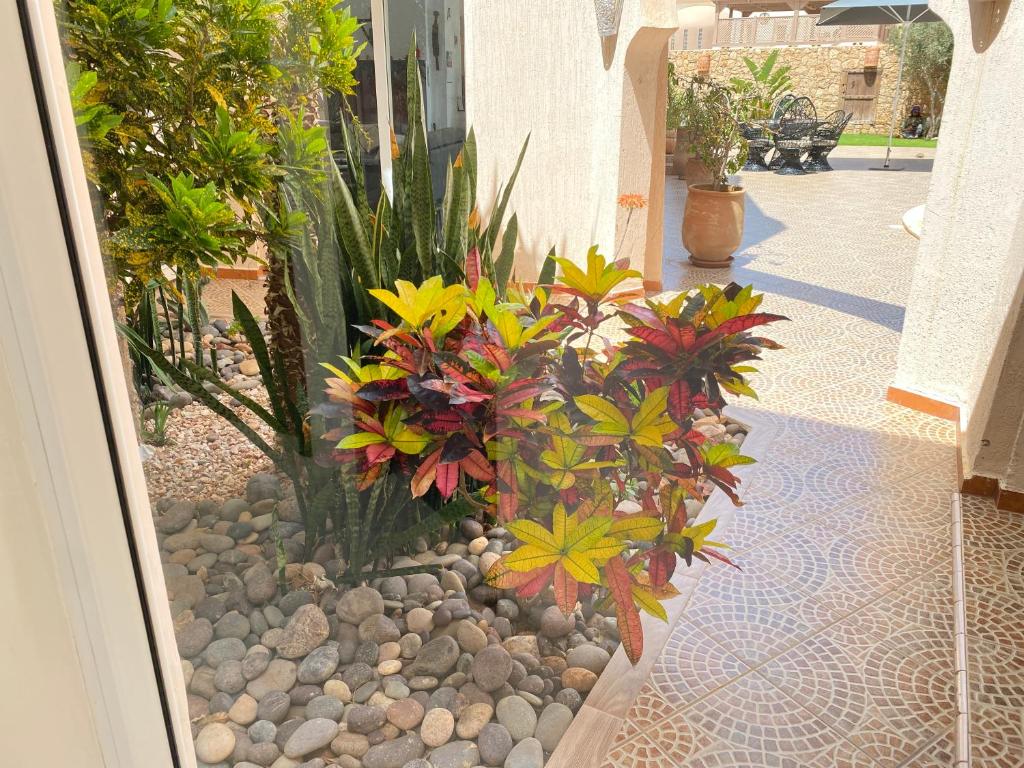 Imagen de la galería de Villa targa, en Mirleft