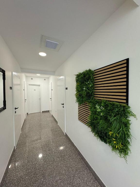 Gambar di galeri bagi VILLA ŠIMOVIĆ APARTMENTS di Baška Voda