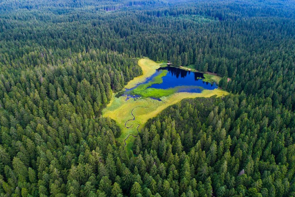 Příroda nedaleko apartmánu