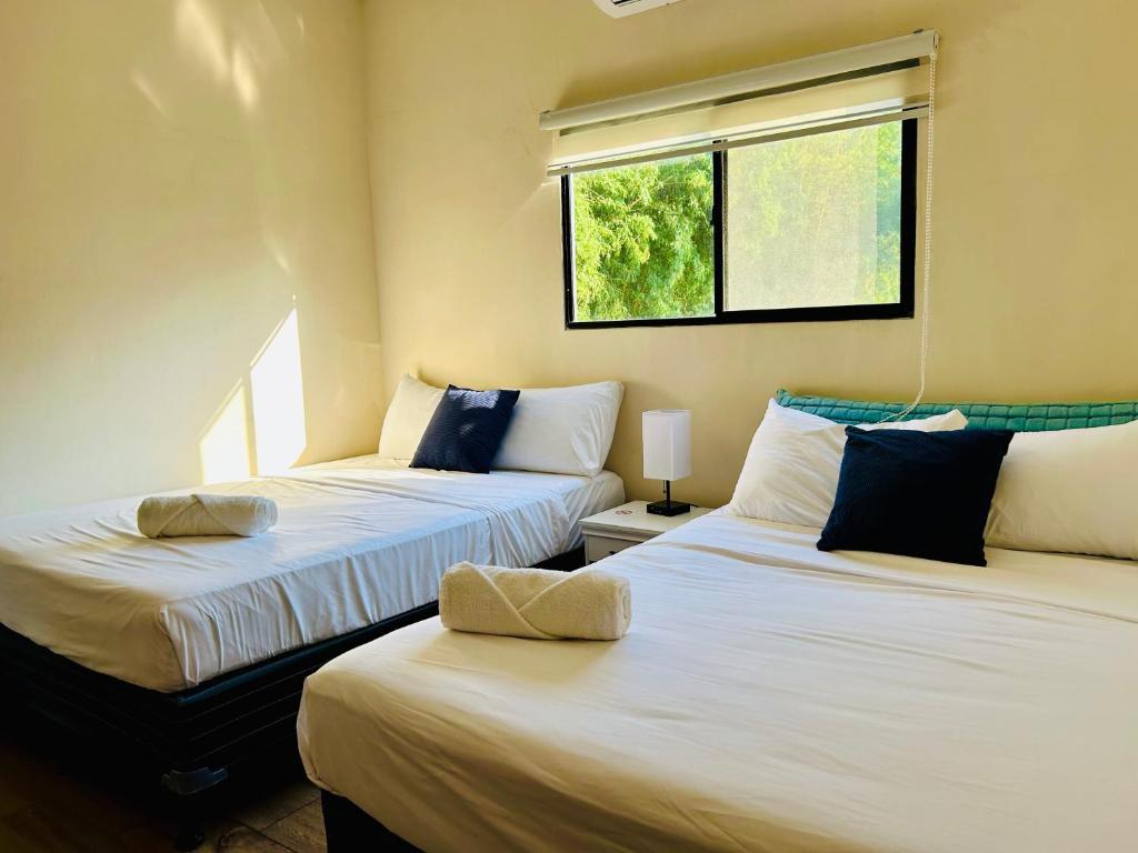 two beds in a room with a window at Conchita's, near Mall metrocentro, AC, SHW in Santa Ana