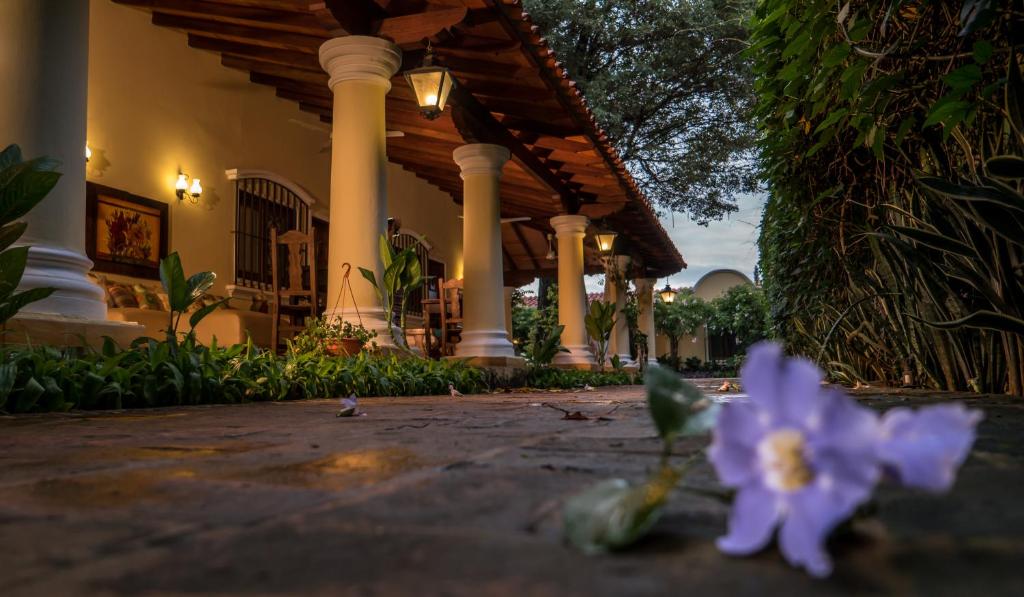 Zahrada ubytování La Casona Hotel Boutique