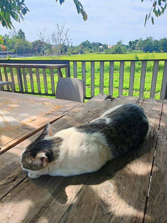 Six Nature Resort - Resim 41