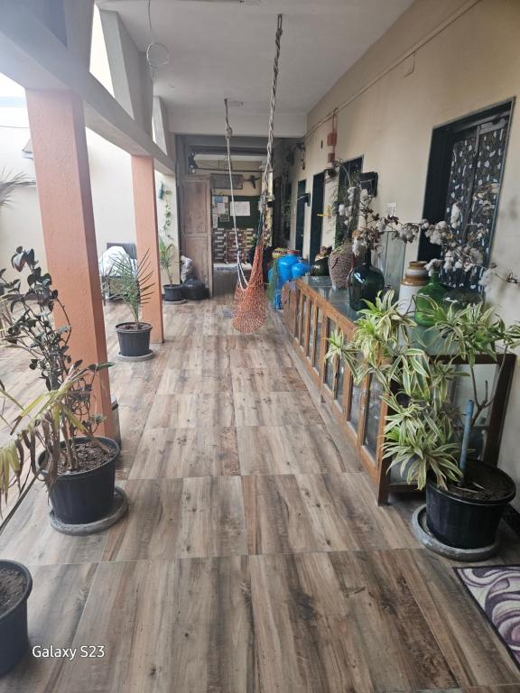 an empty hallway with potted plants and a hammock at Dream Vision Guest House in Diu