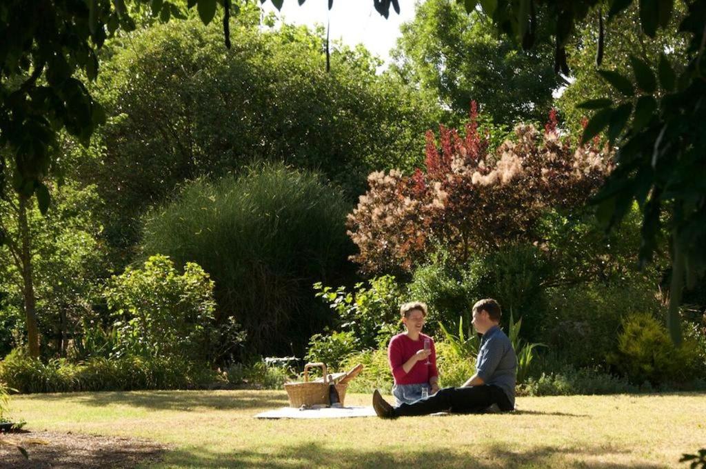 un hombre y una mujer sentados en la hierba en Alexandra Farmstay, en Alexandra