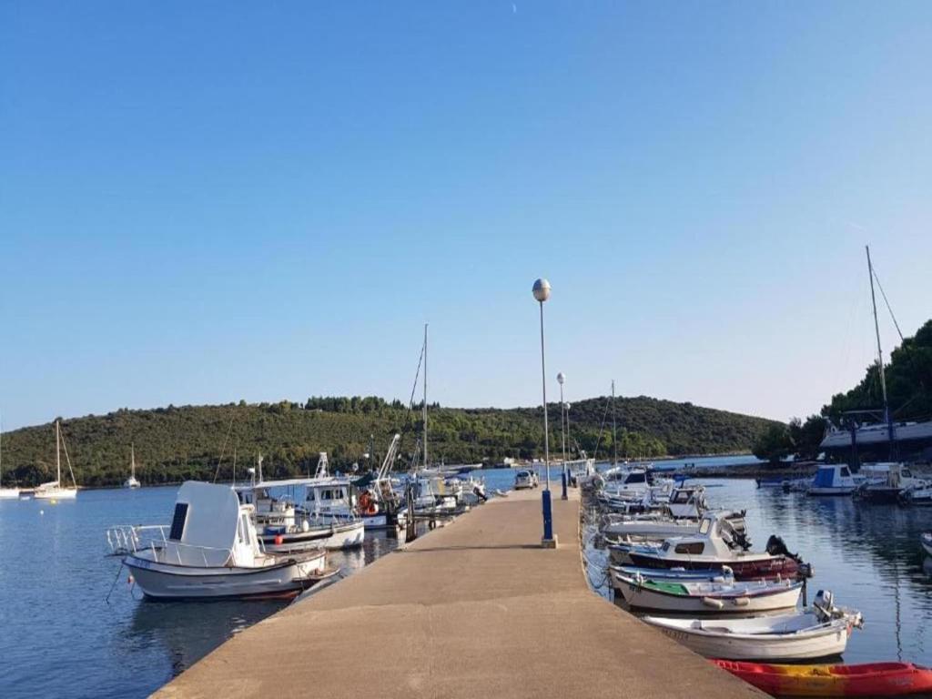 Príroda v okolí dovolenkového domu