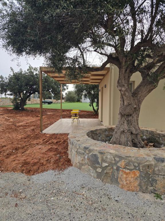 Vonkajšia záhrada v ubytovaní Pivko Village