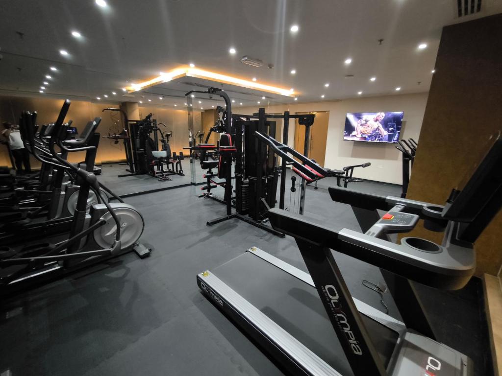 Fitness centrum a/nebo fitness zařízení v ubytování Carnelian Muscat - Airport Hotel