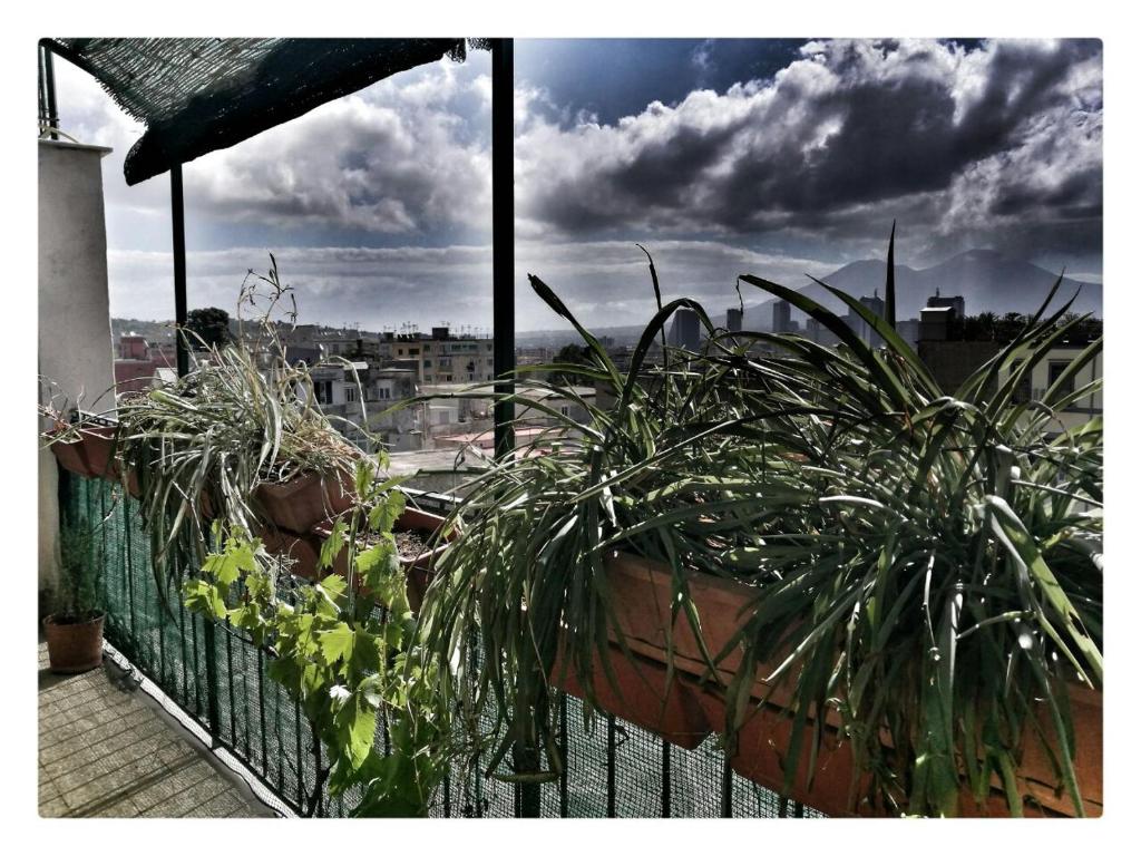 O'Sapunariello-Skyline