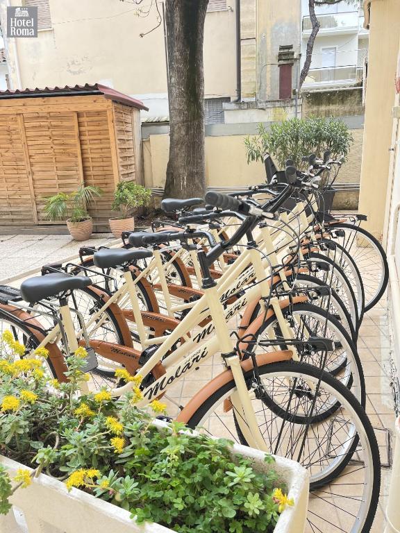 Jízda na kole v ubytování Hotel Roma nebo okolí