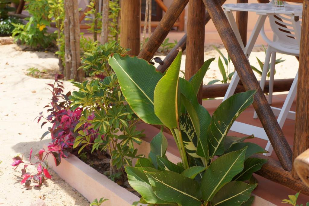 Gold Sand Beach Bungalow - 10