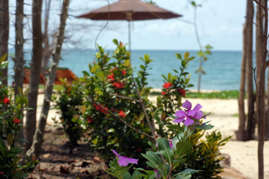 Gold Sand Beach Bungalow - 19