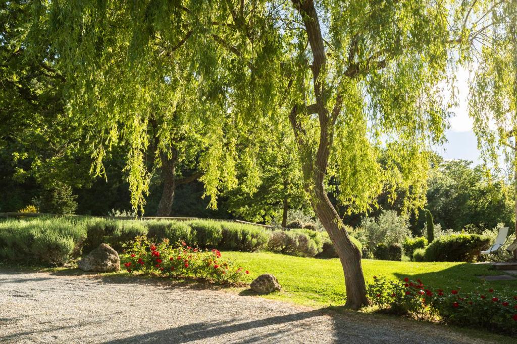 Zahrada ubytování B&B - Podere Monti