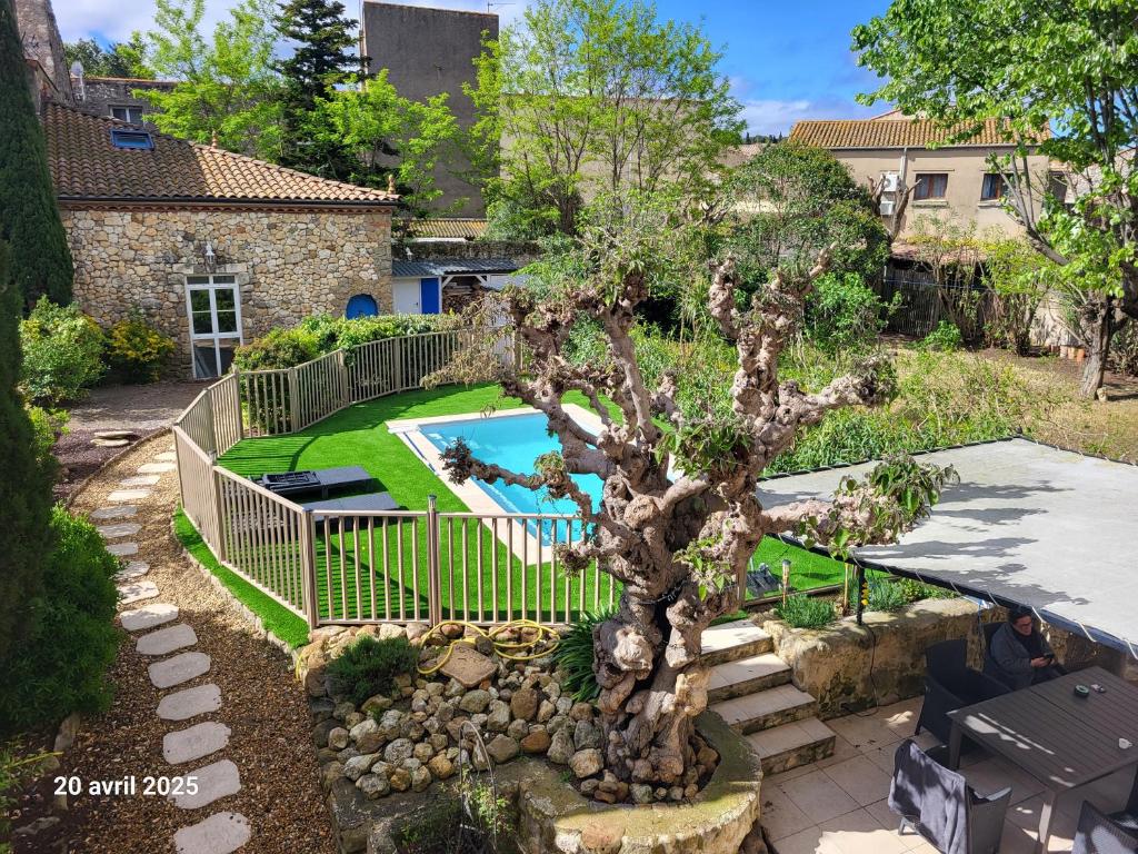 une cour avec un arbre et une piscine dans l'établissement Le Gîte des étoiles de la Clape, à Salles-d'Aude