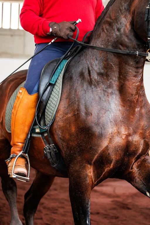 Lusitano Garden Villas - Resim 32