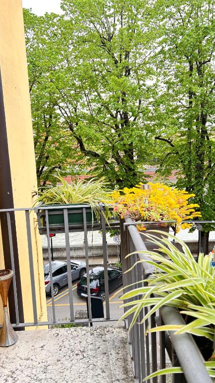 Notti sull'Adige - 11