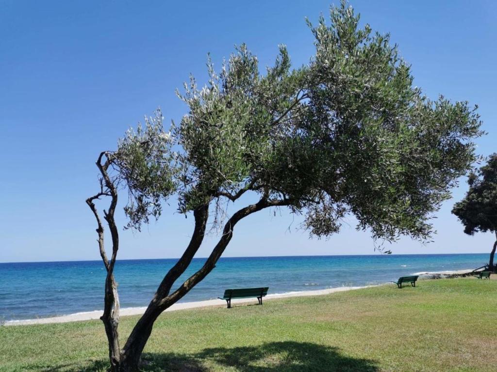 Φυσικό τοπίο κοντά σε αυτό το διαμέρισμα