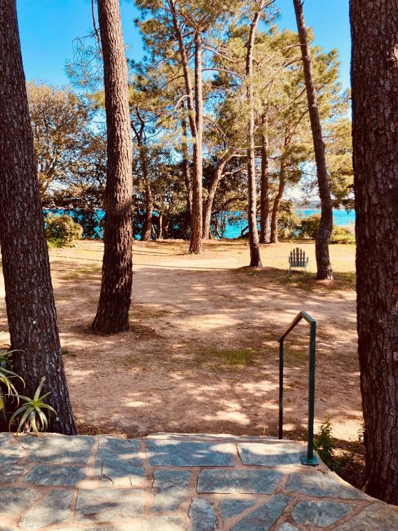 - un parcours de golf dans un parc arboré dans l'établissement Villa de bord de plage, à Pinarellu