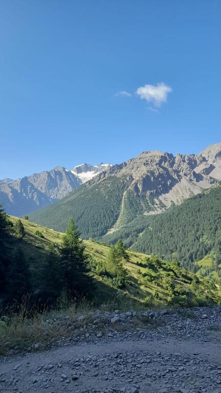 une colline avec des arbres et des montagnes en arrière-plan dans l'établissement Serre Chevalier Appt 1er étage 4p Aiglon sud, à La Salle Les Alpes
