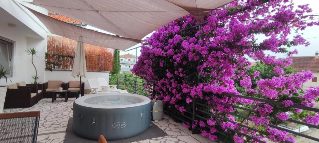 Zahrada ubytování Apartman Club Vodice