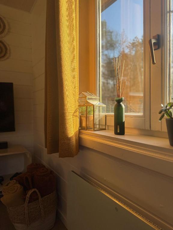 TV a/nebo společenská místnost v ubytování Chalet Chalazy