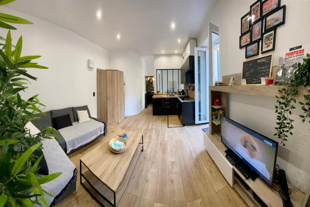 a living room with a couch and a flat screen tv at Charmant Petit studio proche Centre et Plage in Banyuls-sur-Mer