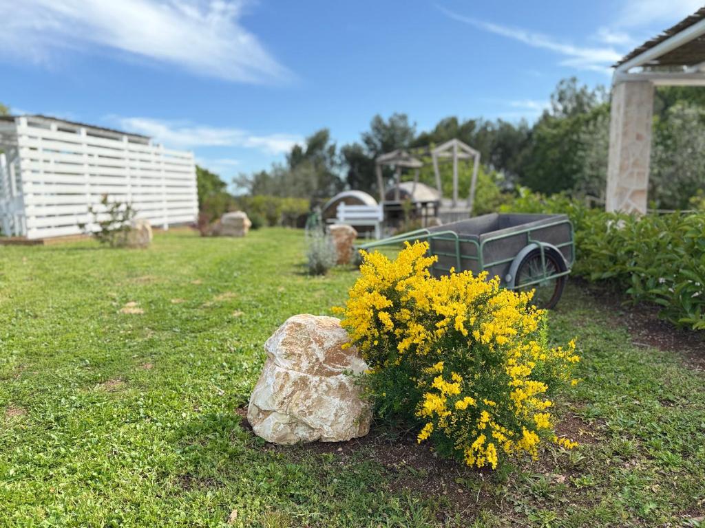 Zahrada ubytování Grano Arso Appartamento Turistico