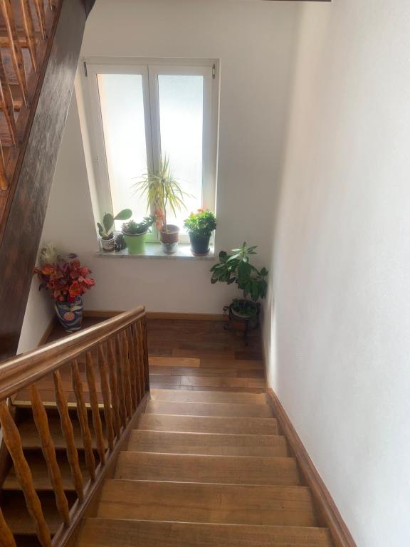 Gîte rose – photo 17