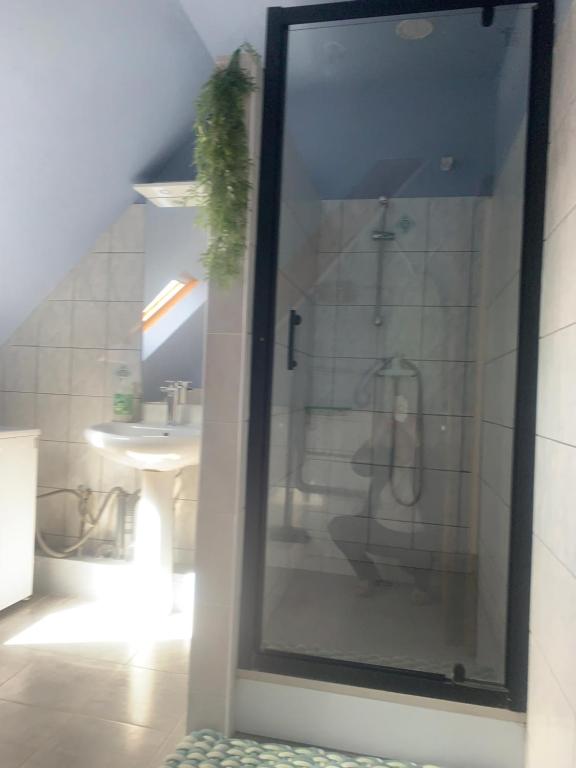 Gîte rose – photo 3
