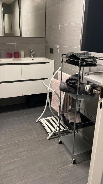 une salle de bain avec un lavabo et une étagère avec des serviettes dans l'établissement 5p 100 m2 Garage 2 BalconiesStrasbourg center, à Strasbourg
