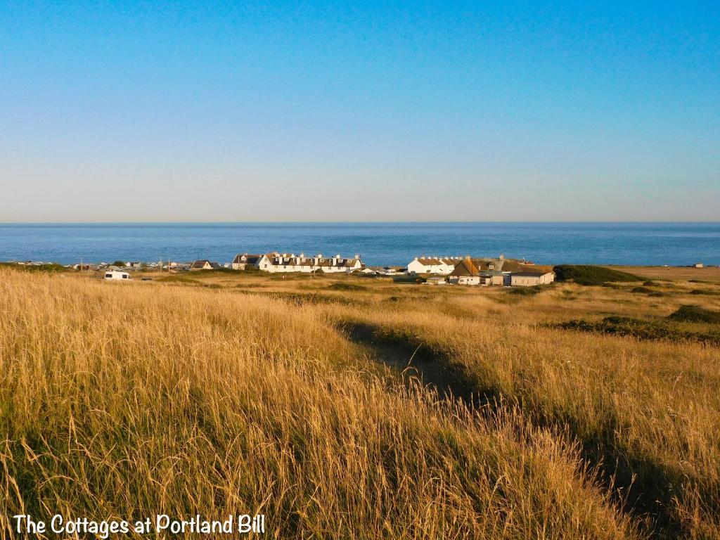 a field of tall grass with houses and the ocean at BillWatch Cottage in Southwell