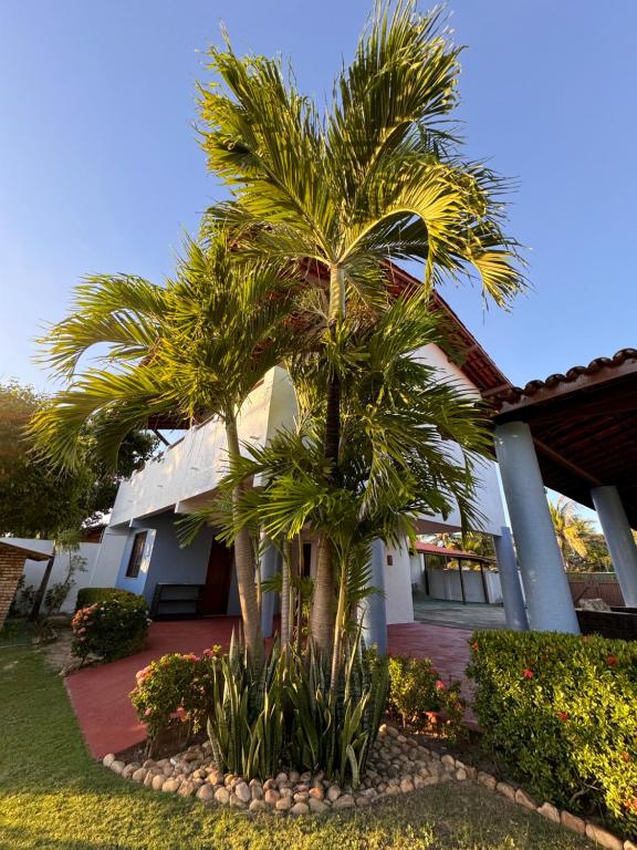 a palm tree in front of a house at Splendide villa à morro branco vue sur mer in Beberibe