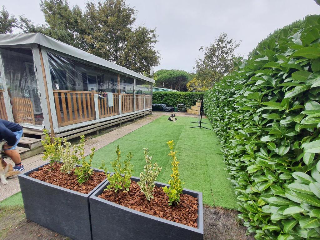 Zahrada ubytování Détente et Lac