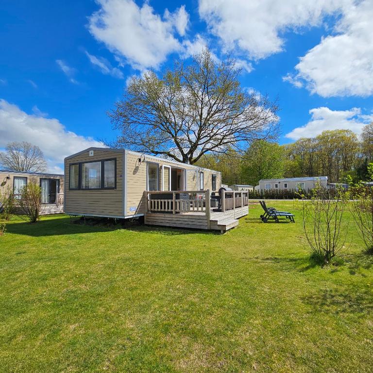 a tiny house sitting in a yard in a field at Chalet Zomerdroom Gasselte in Gasselte