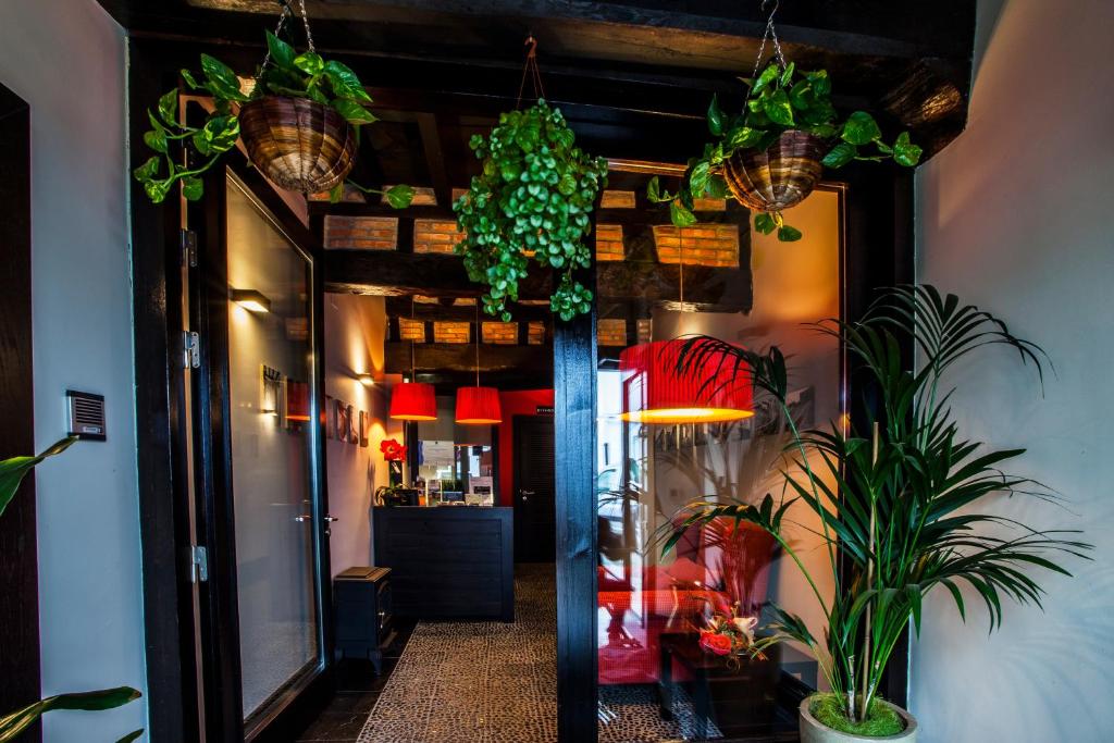 un pasillo con plantas y luces en un restaurante en La Plaza, en Hervás