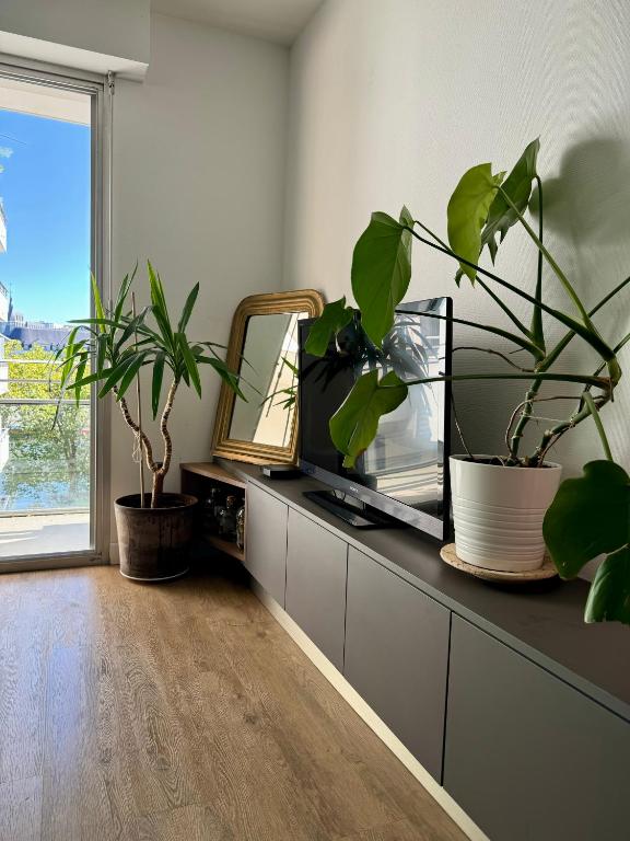 - un salon avec une télévision et des plantes sur un comptoir dans l'établissement T2 - Cité des congrès - 5' à pied de la gare - Parking, à Nantes