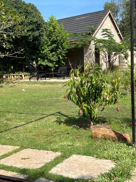 Zahrada ubytování Twenty ritz