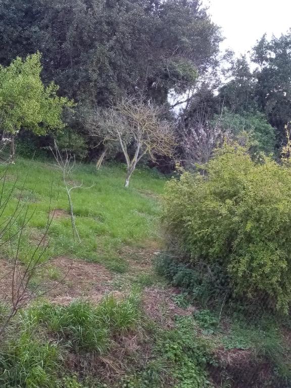 Vonkajšia záhrada v ubytovaní La Canal