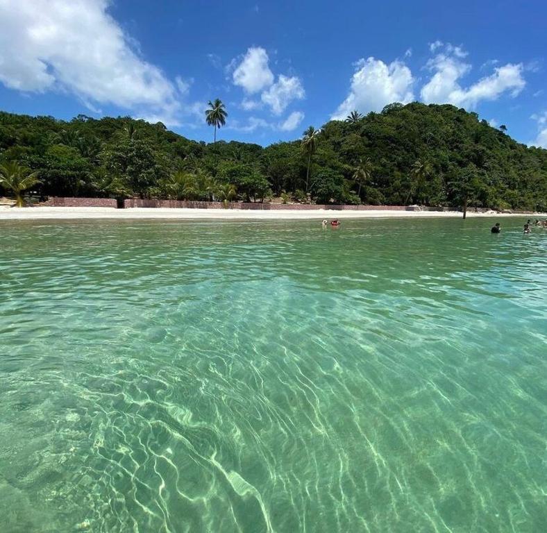 une grande étendue d'eau avec une plage et des arbres dans l'établissement Casa Azul, à 50m da Praia, Ilha dos Frades - Ponta de Nossa Senhora, à Salvador