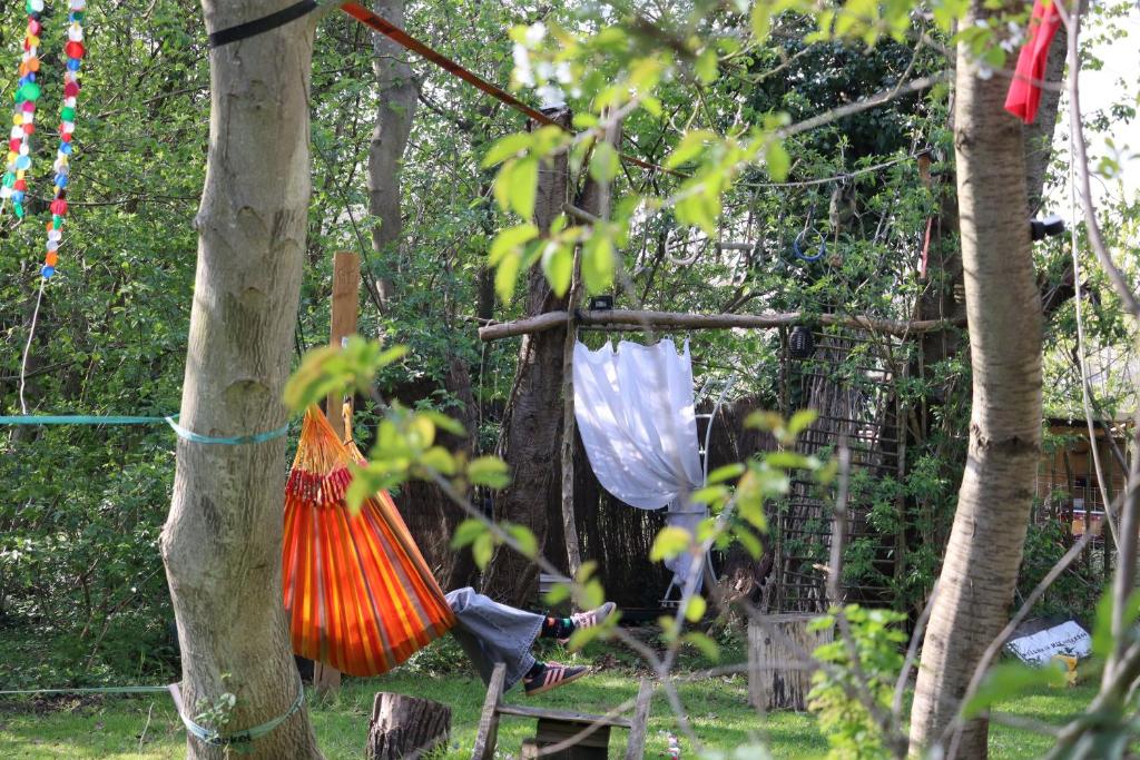 Zahrada ubytování Glamping Zonnebloem - Back-to-Nature