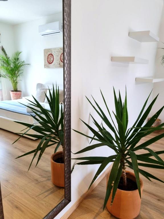 Fotografie z fotogalerie ubytování Chill Inn Hostel v destinaci Tulum