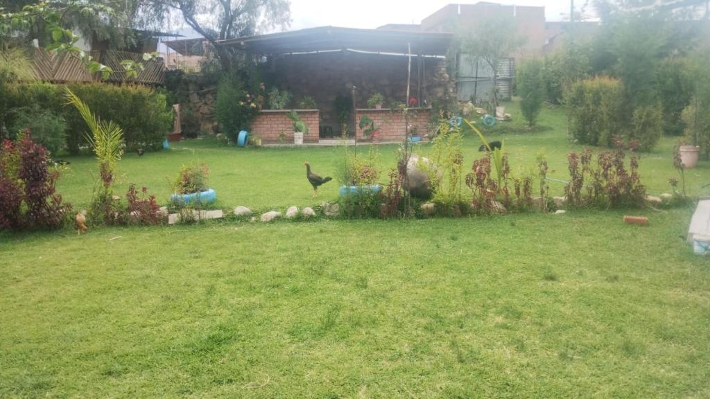 Zahrada ubytování Hostel "La Casa de Ricky"