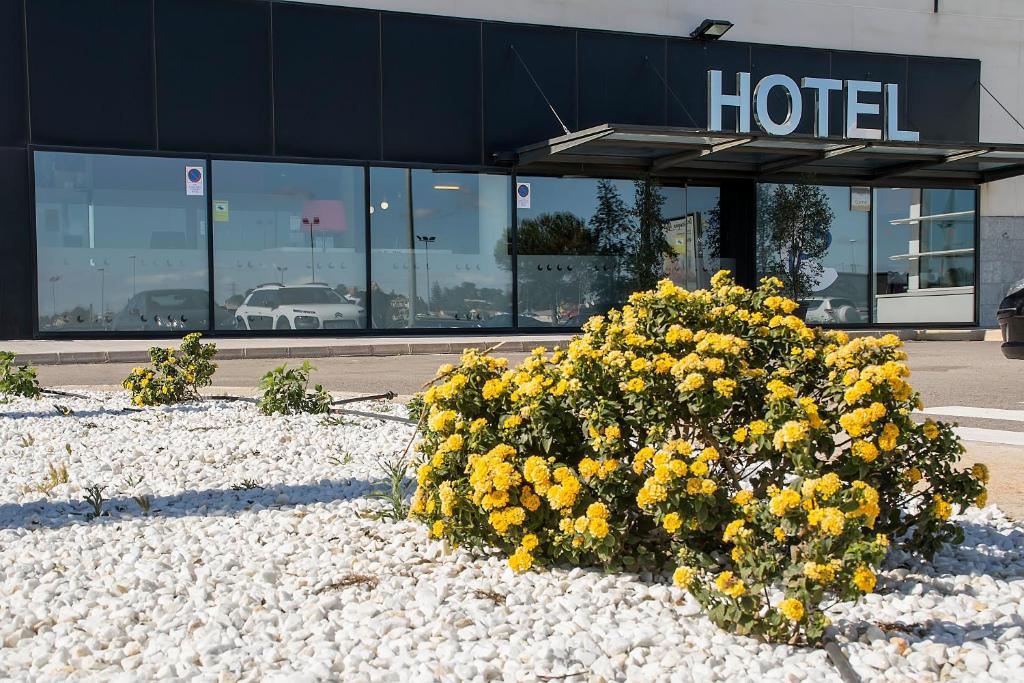 Hotel AS Torrent, Torrent – Updated 2023 Prices