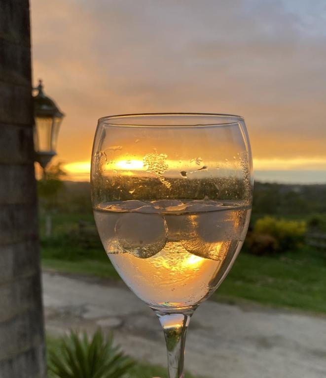 - un verre de vin au coucher du soleil en arrière-plan dans l'établissement Gite Le Coucher du Soleil - 30mins Puy du Fou, à Saint-André-sur-Sèvre