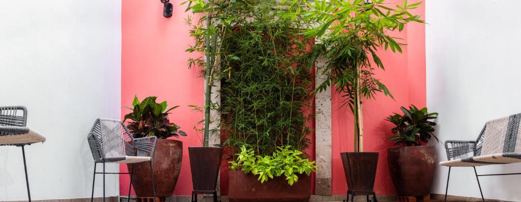 Fotografie z fotogalerie ubytování Nueve Agaves Hotel v destinaci Tequila