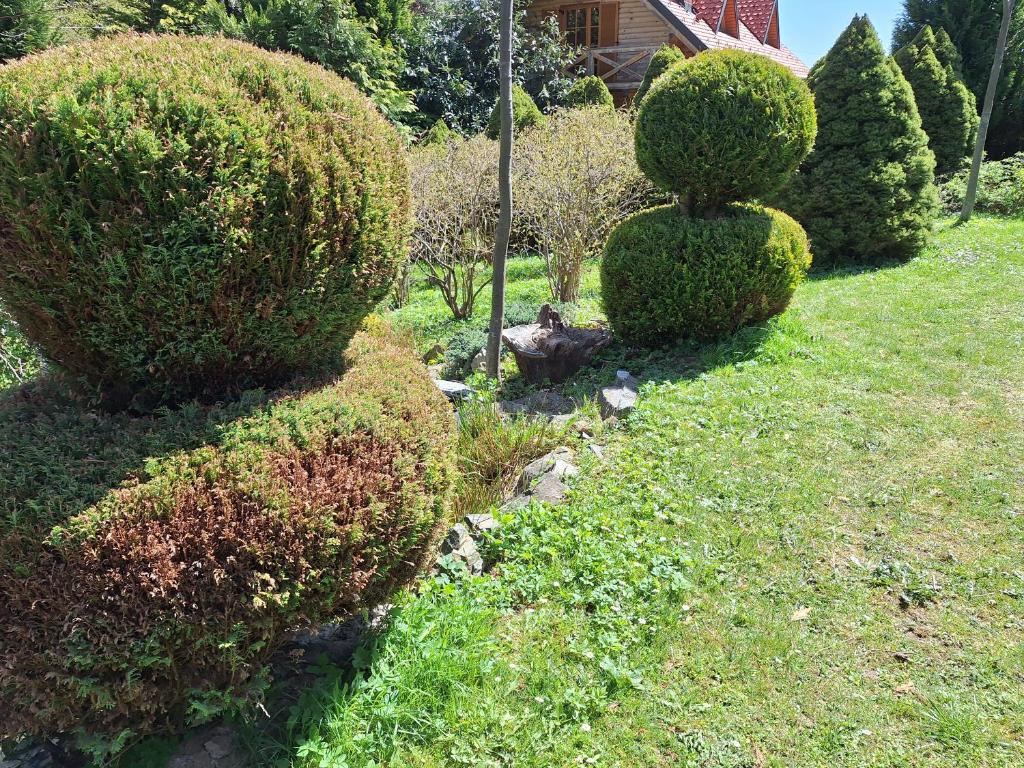 Zahrada ubytování Pohorje Zen Garden