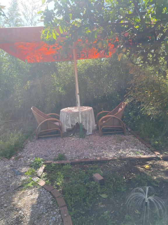 Zahrada ubytování Little himara 1
