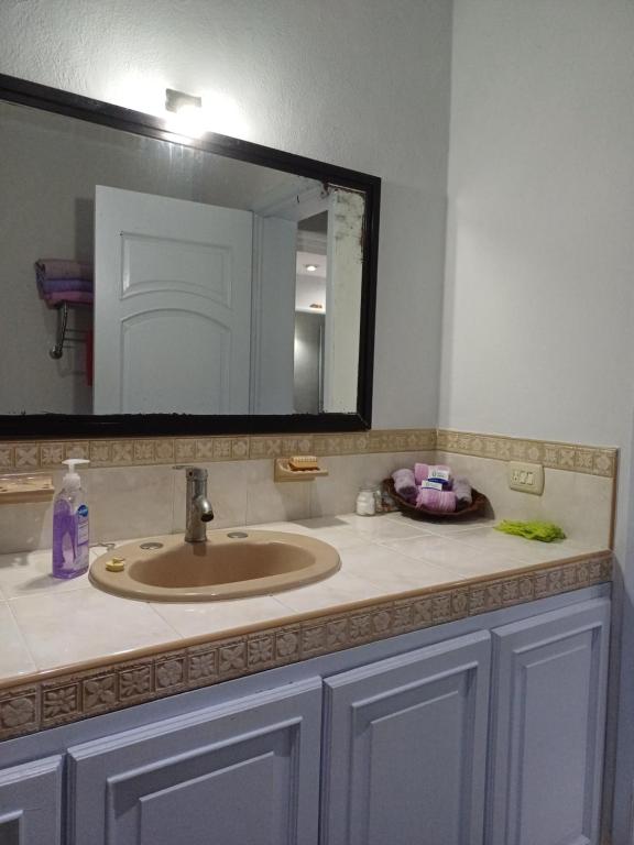 a bathroom counter with a sink and a mirror at Purple Lotus Cozumel in Cozumel
